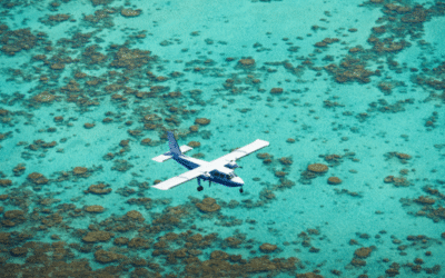 The Brando – Tetiaroa: O Resort Eco-Luxury Favorito de Celebridades
