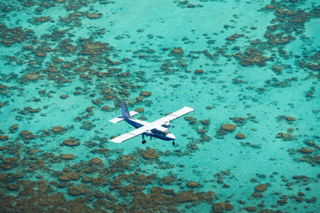 The Brando – Tetiaroa: O Resort Eco-Luxury Favorito de Celebridades