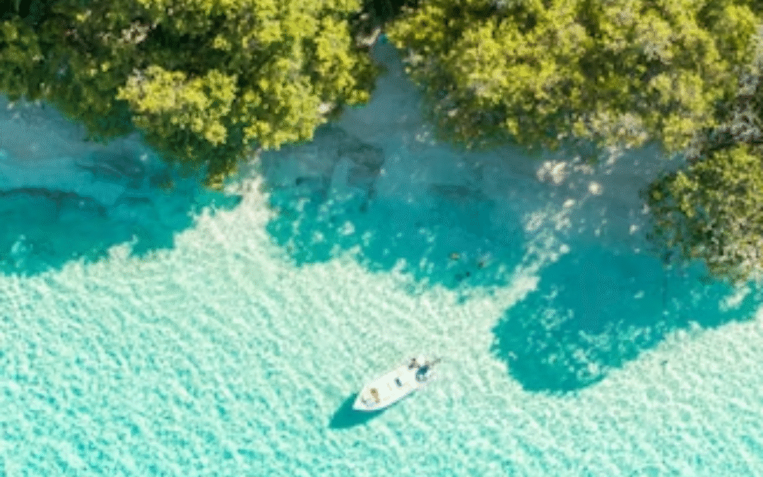 Bora Bora vs Maldivas: qual destino combina com seu estilo de viagem?